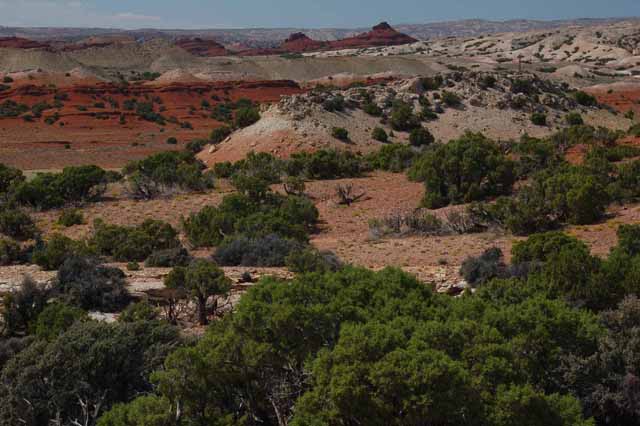 Bighorn Canyon